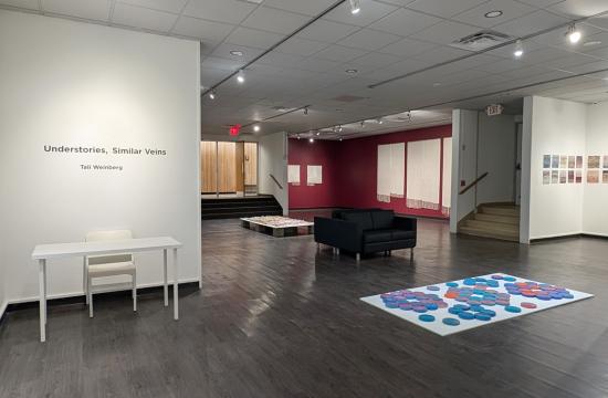 Installation of Tali Weinberg's work